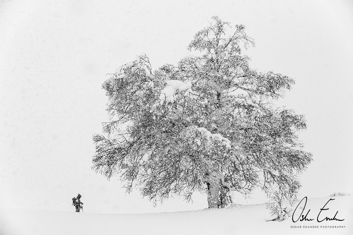 53- Linus Archibald Kiroro 1