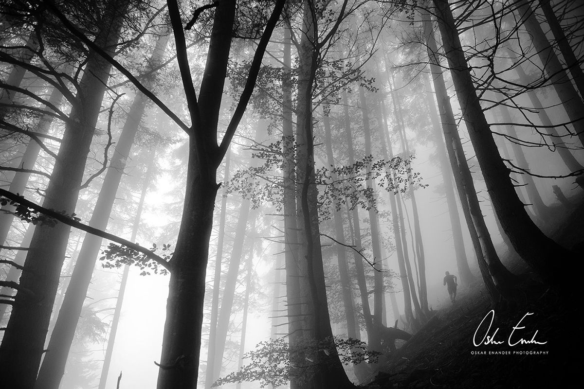 98- Jonas Engelin Engelberg 1