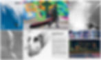 DPS Skis 14-15 Catalog