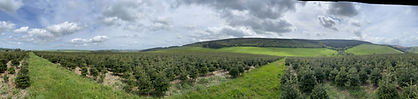 Wide Shot.jpg