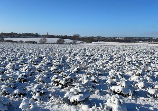 WhatsApp Image 2023-01-27 at 15.17.31.jpg