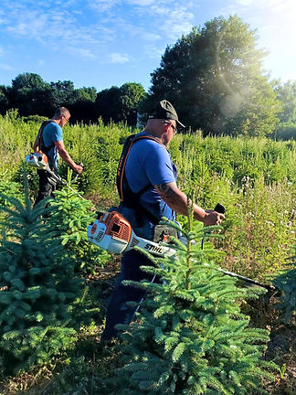 WhatsApp Image 2022-05-30 at 07.09_edited.jpg