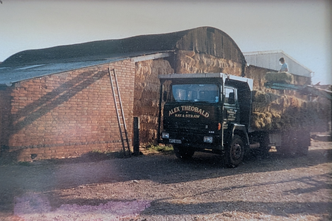 Theobald Hay & Straw 2.png