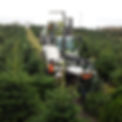 Tree-Tech-9-01.jpg