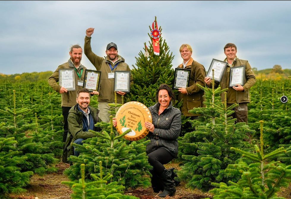 Cadeby Tree Trust Wins Christmas Tree Grower of the Year and Supplies No. 10 Christmas Tree