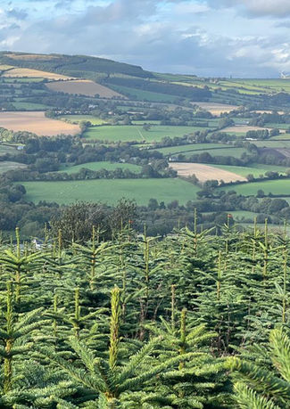 WhatsApp Image 2022-10-07 at 13.25.14 3.jpg