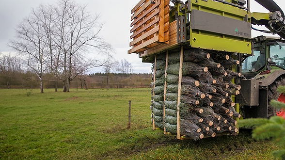 Tree-Tech-14.2.png