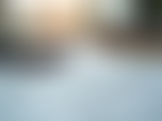 Steps to Successfully Apply for a Mortgage