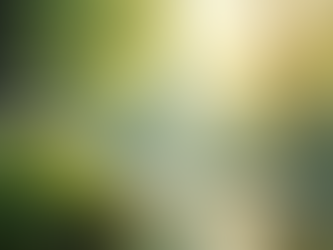 Infidelity Recovery, Healing is possible