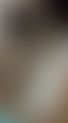 Holiday sessions are right around the corner!