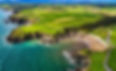 Screenshot 2024-06-28 at 15.41.46.jpg