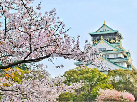 Konnichiwa! Japan in the spotlight