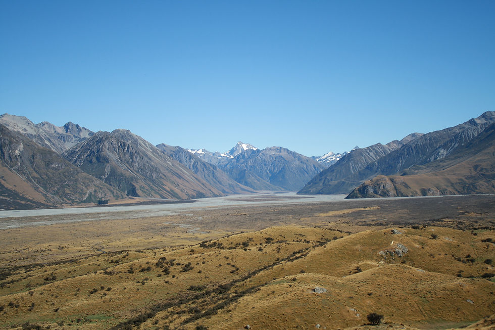 NZ 1290.JPG