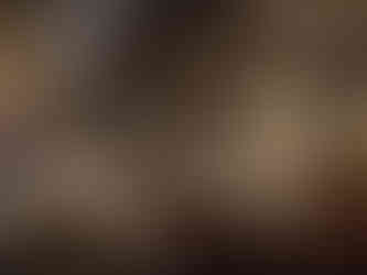 Palo Steakhouse aboard the Disney Treasure