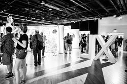 Vernissage XL5