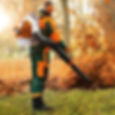 Thumbnail: Stihl BR 700