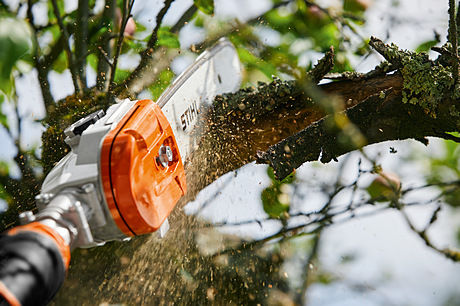 Thumbnail: Stihl HLA 135 12"