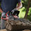 Thumbnail: Toro Cordless Battery Chainsaw