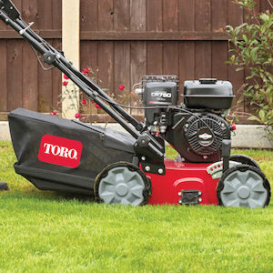 Toro 40 cm Petrol Scarifier Dethatcher AGM - Main Image