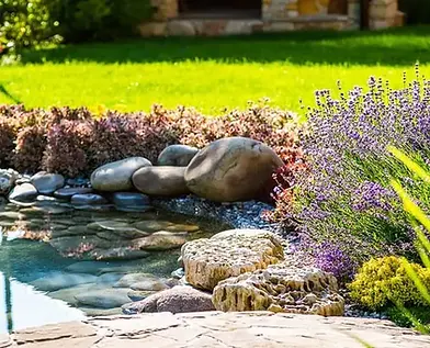 Landscape-Design-Ideas.webp