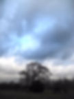 Evening Sky over Elker Woods