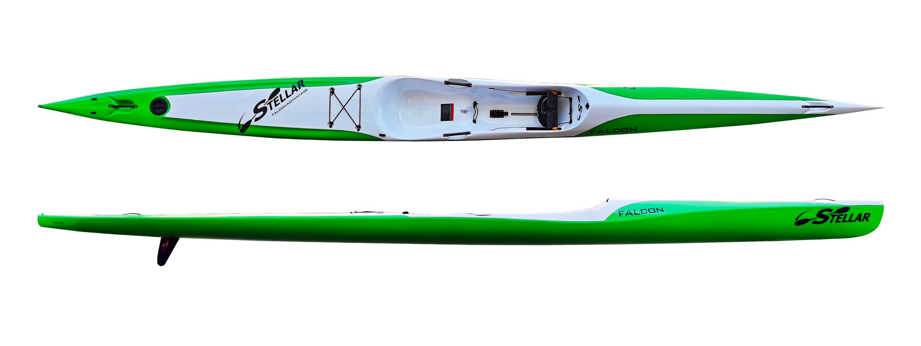 Stellar Falcon