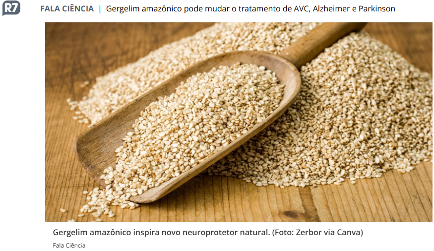 Gergelim amazônico inspira novo neuroprotetor natural.