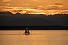 SeattleAug2019_1299x866.jpg