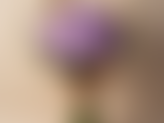 Lavender carnations bouquet wrapped in kraft paper and rustic rope, styled with baby's breath — representing Oscar Blooms' signature floral aesthetic.