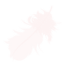 羽２.png