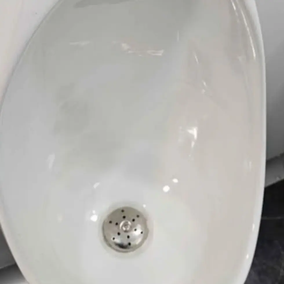 Thumbnail: Compact 2-Station Portable Restroom Trailer - White Event Bathroom Unit