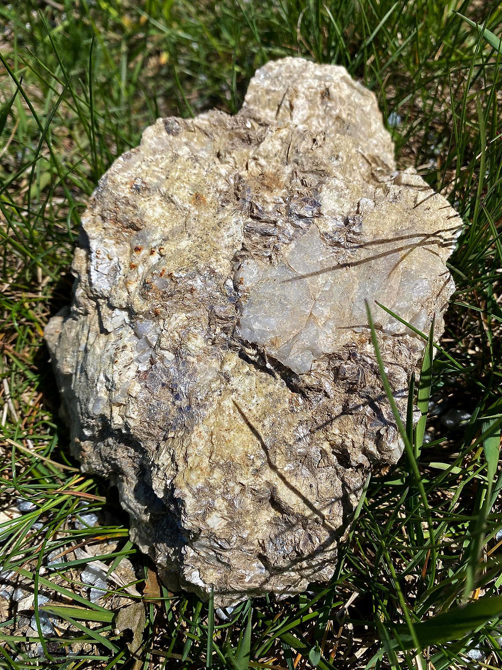 IMG_9995kl 15cm2.jpg
