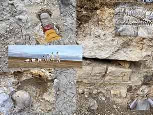 geological collage