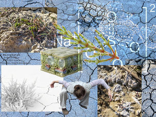Collage with a background of dried clay and salt crusts, featuring halophytic plants, the chemical formula of Glauber’s salt, and a forward-bending figure.