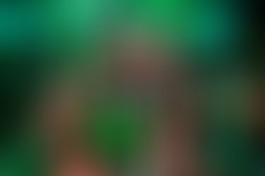 Top Marks for The Willows High School