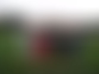 Take a bow, ladies, but keep those hats on