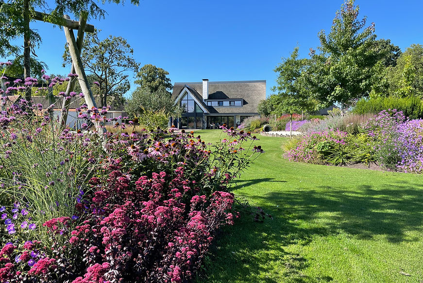 ZO.Tuinontwerp_Voortuin en achtertuin Deurne_5.jpeg