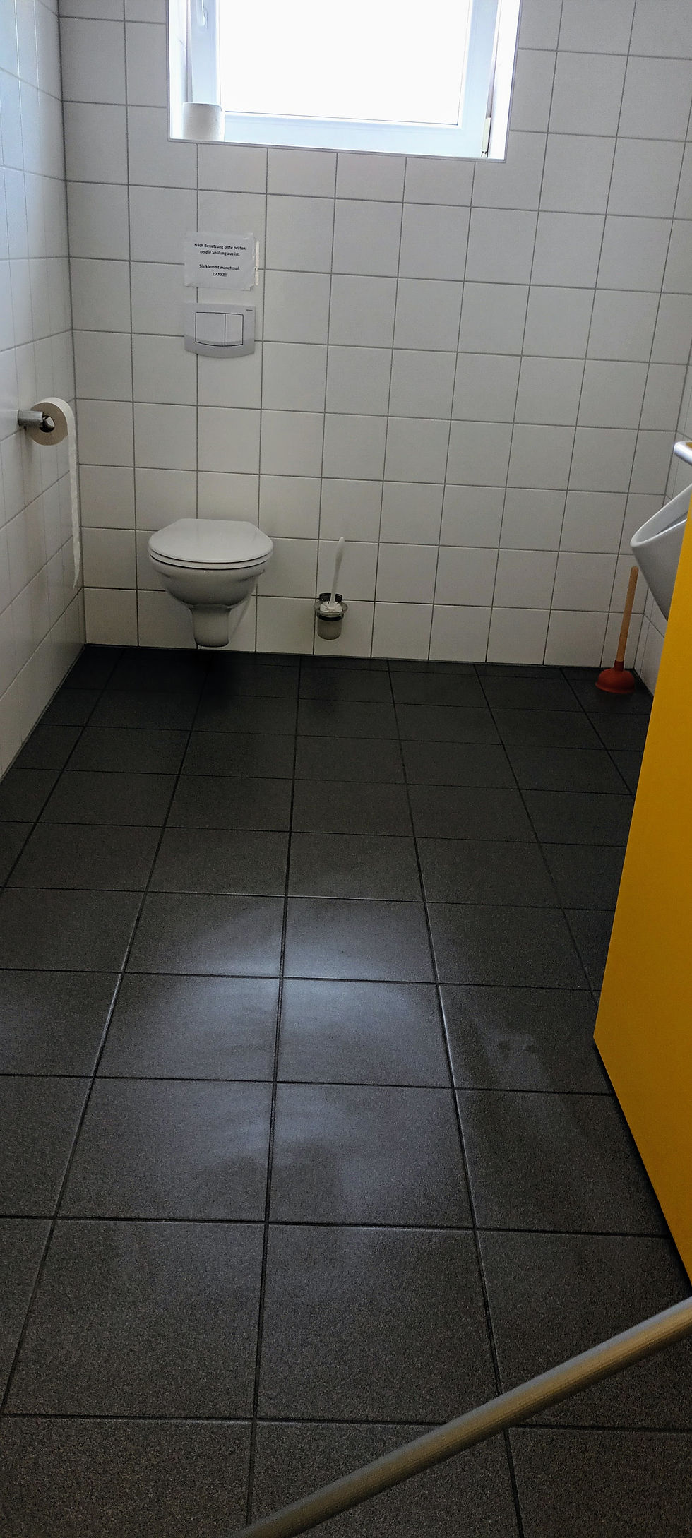 toaleten reinigung