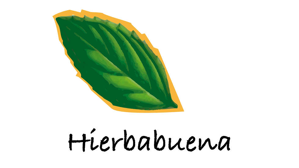 Hierbabuena
