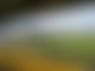Sutton United tickets