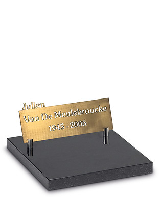 PUV14_Brons.jpg