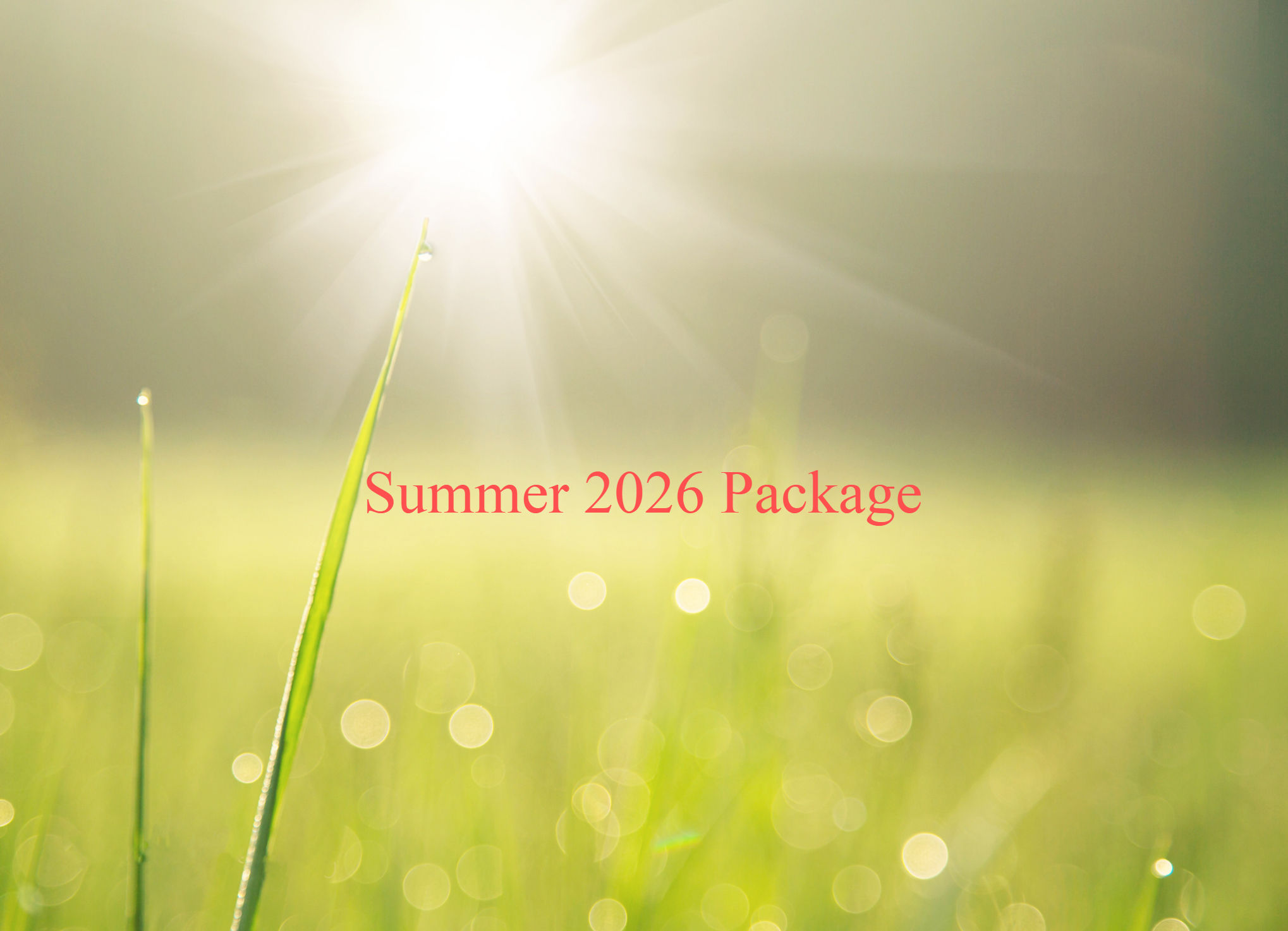 Spring 2025 Package