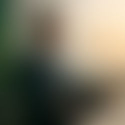 Manager in abiti da ufficio siede sereno in ufficio moderno luminoso, pratica respirazione consapevole con mani sulle ginocchia, spalle rilassate, luce naturale e pianta verde sullo sfondo.