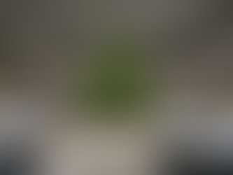 도심 도서관 내부 전경, 콘크리트와 메탈 공간 중심에 식물이 배치된 플랜테리어 디자인