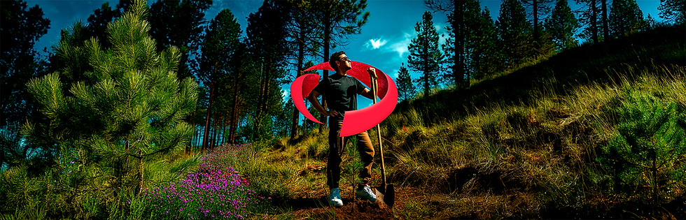 Compromiso con el Planeta: Pentafon en la Jornada de Reforestación Social 2025