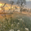 Thumbnail: Tuinposter 90 cm x 90 cm met ringen in 4 hoeken 