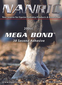 Thumbnail: NANRIC MEGA BOND™ Adhesive - 200cc Cartridge