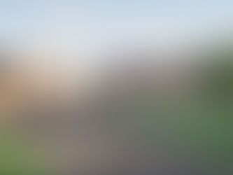 Crafting Unique Homes in Ontario: Custom Home Design Ideas