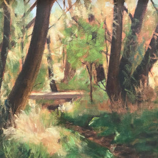 Footbridge in the Woods