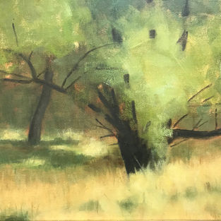 Springtime Green